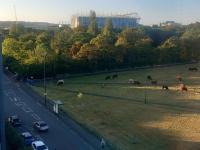 View from Newcastle Halls